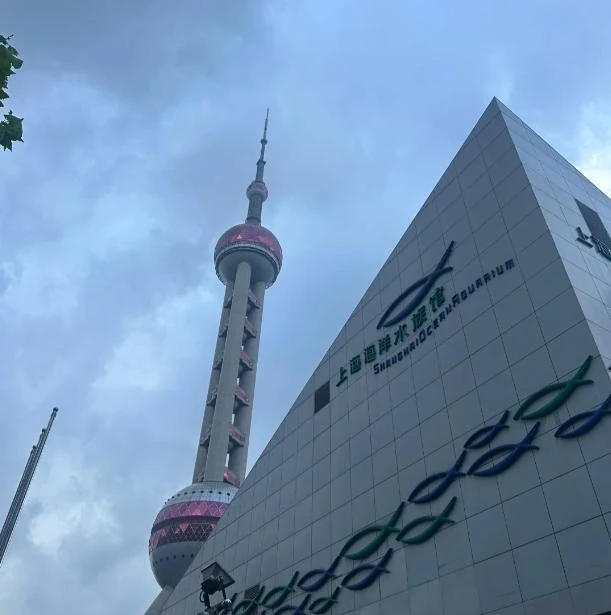 企业画册中的东方明珠项目建筑